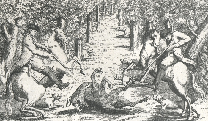 François Antoine tuant un grand loup en Gévaudan en 1765 - BnF (Gallica)